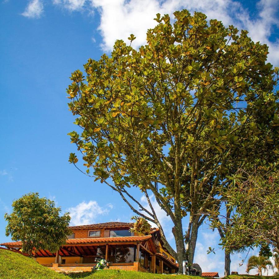 Aw Guatape Glamping Resort Ngoại thất bức ảnh